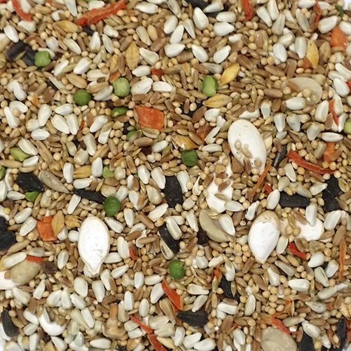 Sweet Harvest Conure And Lovebird Bird Food 4 Lbs Bag Seed Mix For Conures And Lovebirds 