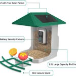 camera bird feeder